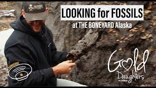 BONING for WOOLLY MAMMOTH at the Boneyard Alaska raw footage