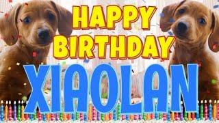 Happy Birthday Xiaolan! ( Funny Talking Dogs ) What Is Free On My Birthday