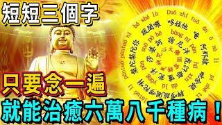 短短3個字，竟是佛菩薩最神奇的「一味藥」，只念一遍，就能治癒六萬八千種病！丨佛談大小事