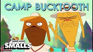 Camp Bucktooth (All 3 Shorts) | adult swim smalls