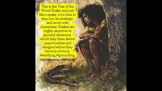 The Year of the Wood Snake| Importance of Grounding