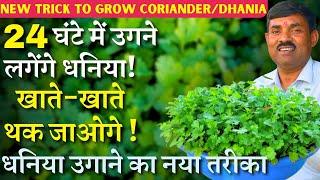 24 घंटे में उगने लगेंगे धनिया || धनिया उगाने का नया तरीका || New Trick to Grow Coriander/Dhania 