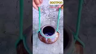 DIY. Простой узел. Узел для переноски. Как завязать? Вяжем узлы. #зоотроп