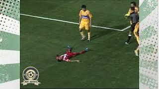 TIGRES 0 3 VERACRUZ 2008