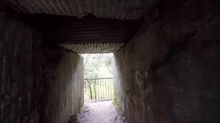 Exploring Meads Quarry Key Hole to the Throne of God and Walking Ijams Nature Center River Boardwalk