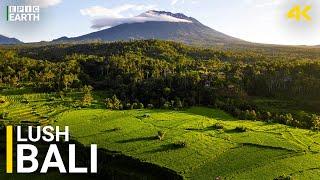 Bali 4K | Embrace Sacred Temples, Lush Forests & Ocean Bliss!