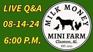 Live Q & A with Milk Money Mini Farm