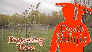 How to Protect Apple Trees (and Nut Trees) from Deer