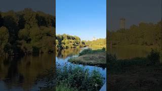 Карелия 2024. Олонец. Городской парк. Июль 2024г (Часть 3) #карелия #олонец #парк #nature