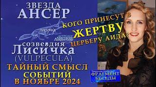 Кого съедят? Звезда Ансер и жуткая Лиса-людоед: мистерия ноября! Кого принесут в жертву Церберу Аида