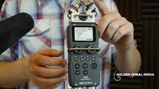 Zoom H5 Demo and Overview