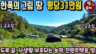 도로끝 국유림 속 한폭의 그림같은 양평 토지! 타인의 간섭을 받지 않고 온전히 자연을 만끽하세요  싼 저렴한 전원주택 농막 토지 농업직불금 농업경영체 땅 귀농 귀촌 텃밭 주말주택땅