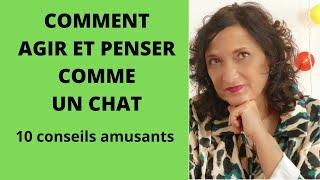 AGIR ET PENSER COMME UN CHAT : 10 conseils amusants !