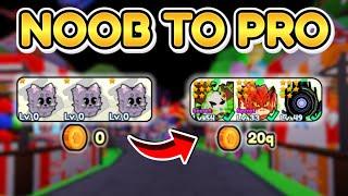 (NEW) I Went Noob To Pro In Pet World On Release