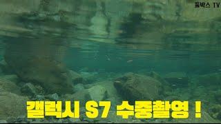 갤럭시 S7 수중촬영 후기!