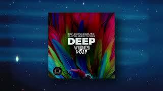 Deep Vibes, Vol9 - Selected & Mixed by Fer Ferrari [DeepClass Records]