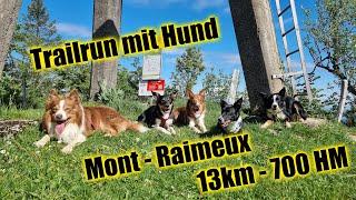 Trailrun mit Hund - Mont Raimeux