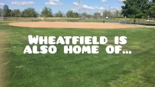 Menifee Parks - Wheatfield