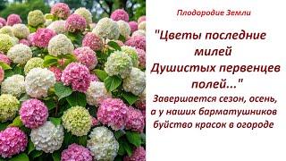 ЮБИЛЕЙНЫЙ ролик МАРАФОНА ПЛОДОРОДИЯ №100 Завершается сезон в буйстве плодородия. №100/24