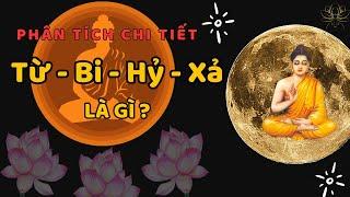 Từ, Bi, Hỷ, Xả : Tứ Vô Lượng Tâm & Nhẫn Nhục - Nghe Lời Phật Dạy| Vượt Thoát Khổ Đau,Đem Lại Bình An