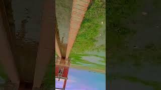 #bhojpuri #song #new #video #2025 #Dinesh #Kumar #chaudhary ️️️️️️️️️️️️️️️️️️️️