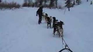 Dog Sled Run, Vail Colorado January 2008