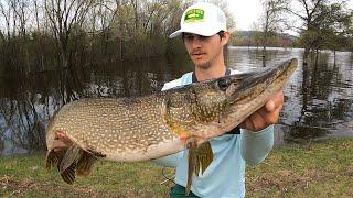 Fishing GIANT LURES for TROPHY PIKE!