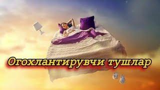 Огохлантирувчи тушлар