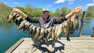 2,000 Fish out of 1 Lake (Crappie and Bass Catch Clean Cook)