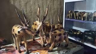 Wood Animals shantipur kakrajan karbialong Assam video 1