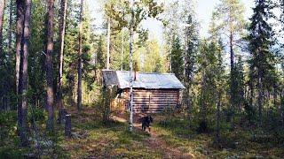 10 дней один в глухой тайге. Охота. Рыбалка. Одиночный поход. Таёжный быт. Лесная изба. Часть 5