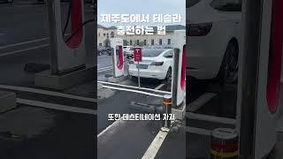 테슬라 제주도에서 충전하는 방법 | 제주도 슈퍼차저, 제주도 충전소