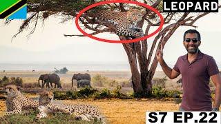 Finally saw a Leopard and Cheetah in Serengeti National Park  S7 EP.22 | Pakistan to South Africa