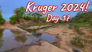 Day 17 – Kruger National Park! S1 – Ep 557