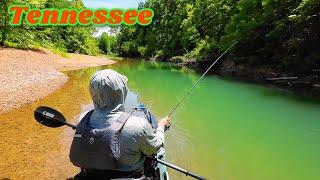 Middle Tennessee Kayak, Camp and Fish!!