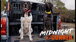 Gunner Kennels - Limited Edition Midnight