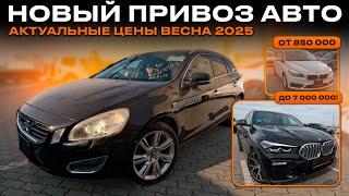 НОВЫЙ ПРИВОЗ! Авто из ЯПОНИИ и КОРЕИ. Актуальные цены МАРТ 2025. BMW, VOLVO, INFINITI.