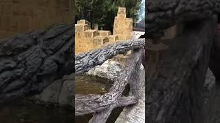 Мир на столько прекрасен, что иногда удивляешься, как же я раньше этого не замечал #путешествие