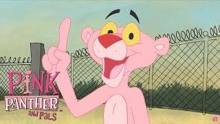 Pink Thumb | Pink Panther and Pals