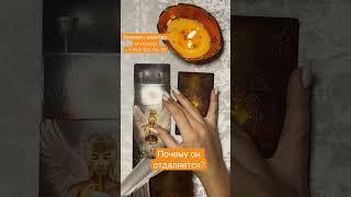 Почему он отдаляется? Таролог Алина Сергеева #таро #tarot
