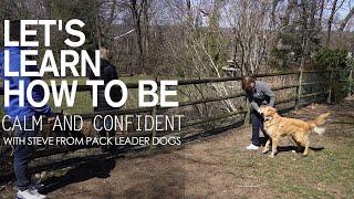 Let’s Learn How To Be Calm Confident- With Steve From Pack Leader Dogs