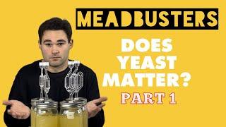 MEADBUSTERS: DOES YEAST TYPE MATTER? (PART 1)