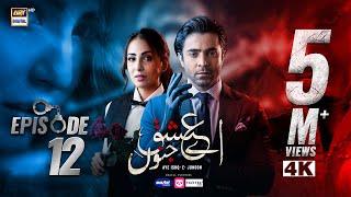 Aye Ishq e Junoon Episode 12 | Ushna Shah | Sheheryar Munawar | 17 Dec 2024 (Eng Sub) | ARY Digital