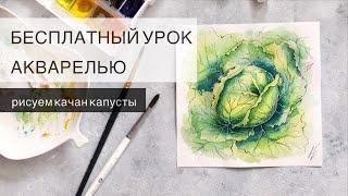 Кочан капусты АКВАРЕЛЬЮ / Как легко рисовать акварелью?