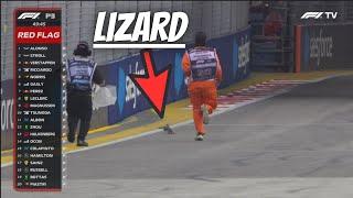 Lizard VS F1 Marshall - F1 Singapore GP 2024 FP3