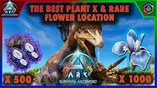 The Best Plant X Seed and Rare Flower Location in Ark Survival Ascended The Island Map