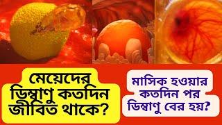 মেয়েদের ডিম্বাণু কতদিন জীবিত থাকে? মাসিক হওয়ার কতদিন পর ডিম্বাণু বের হয়? ফলিকুলার , লুটিয়াল ফেজ