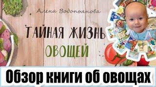 Истории, задания и эксперименты с овощами! И все это в одной книге! Обзор детской книги. Годовёнок