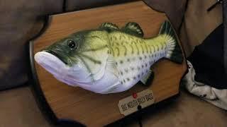 Google home Billy bass talking fish