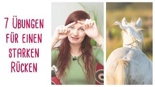 7 Übungen für einen starken Pferderücken!